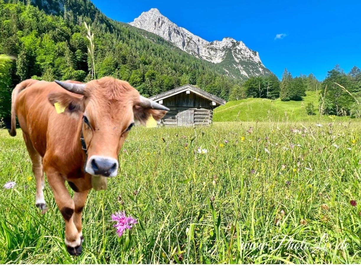 Sparfuchs - Fewo Resi Mittenwald Buitenkant foto